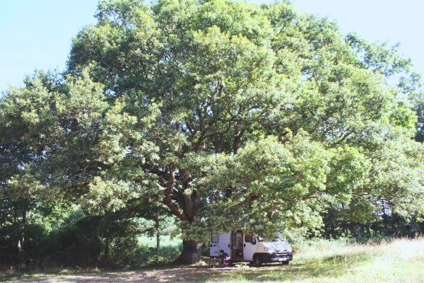 IMG_1015_Fotor_Fotor