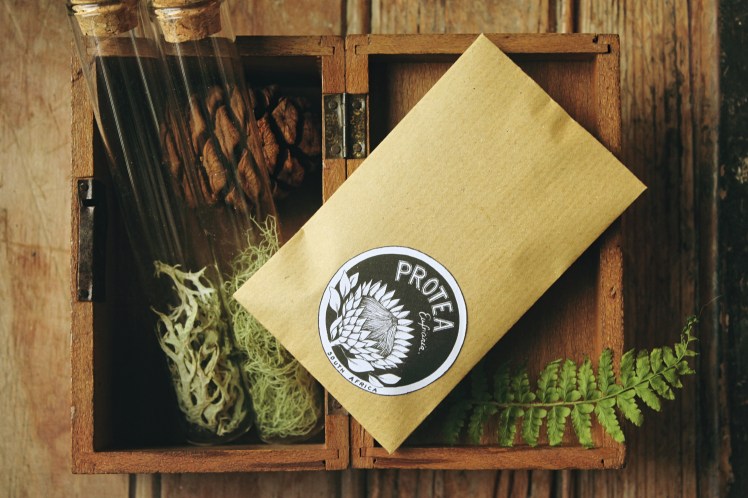 PROTEA 1