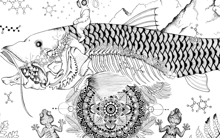 Capture d’écran 2019-06-03 à 20.47.14