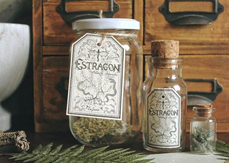 IMG_7076_Fotor_Fotor