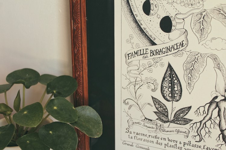 IMG_7309_Fotor_Fotor